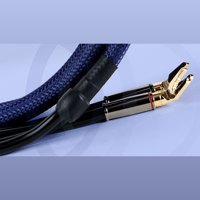 Connected Fidelity Unity One variant 4