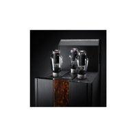 Octave Audio Jubilee 300 B variant 4