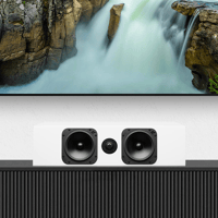 Totem Acoustic Element Wood V2 variant 2