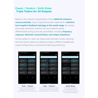 Cayin N6iii T201 variant 7