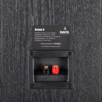 Davis Acoustics Ariane 9 variant 11