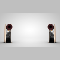 Cessaro Horn Acoustics ALPHA II variant 2