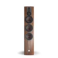 Dali RUBICON 8 variant 1