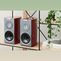 Audiovector R 1 variant 9