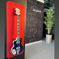 Vicoustic VicDisplay Bass variant 9