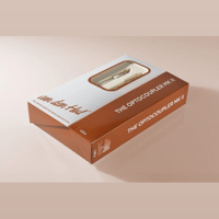 Van den Hul Optocoupler MK II variant 1