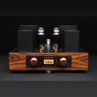 ThivanLabs ULTIMATE 300 – 300B Single-Ended Tube Preamplifier Optical & MM-MC Phono variant 1