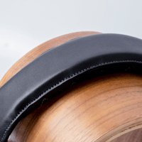 TRIPOWIN H1 variant 8