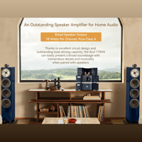 Cayin Soul 170HA variant 7