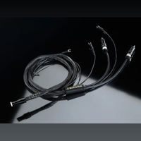 Esprit Audio Lumina Phono modulation variant 1