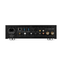 Hifi Rose - USA RS250A variant 8