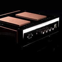 Merrill Audio Element 116 Power Amplifier Monoblocks variant 3