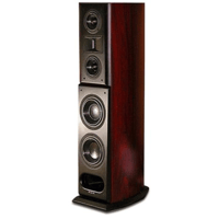 Acoustic Zen Crescendo Mark II variant 1