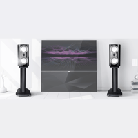 Mission ZX-C1 variant 8