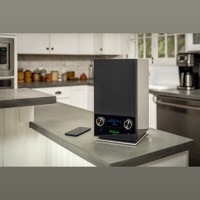 McIntosh Labs RS150 Wireless Loudspeaker variant 8