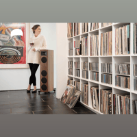 MartinLogan Motion Foundation F1 variant 25