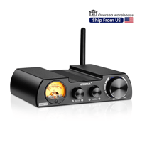 Aiyima AIYIMA A08 Pro - US Warehouse Ship variant 1