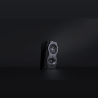 Perlisten S4s variant 5