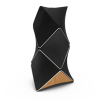 B&O-Bang & Olufsen  Beolab 90 variant 6