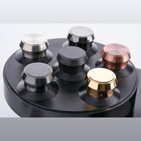 AMG Record clamps variant 2