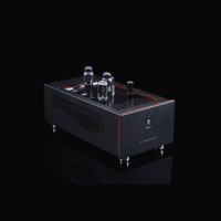 SW1x MPA I “Neptune” PP Mono Power Amplifier variant 3