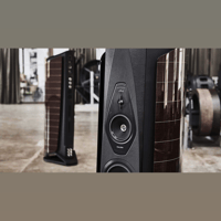 Sonus Faber AIDA variant 7