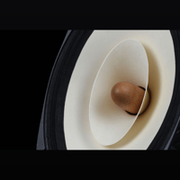 SW1x XCalibur Horn Loudspeakers variant 15