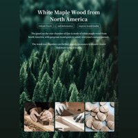 Sivga Audio Hifi dynamic Driver Wired IEM - Que variant 12