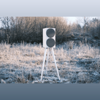 Buchardt Audio S400 MKII variant 15