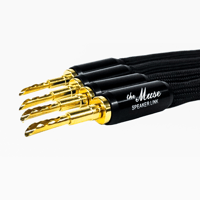 Tara Labs The Muse Speaker Links variant 1