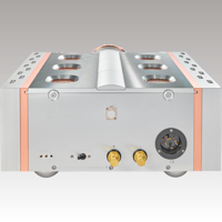 Dan D’Agostino Relentless 800 Monoblock Amplifier variant 3