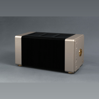 Riviera Labs AFM100 Special Edition variant 3