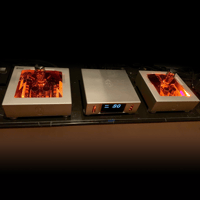 AGD Production Andante MKII variant 17