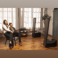 MartinLogan Impression  ESL 11A variant 41