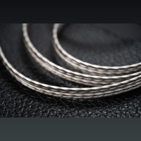 Campfire Audio Time Stream: Silver variant 7