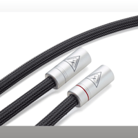 Shunyata Research GAMMA XLR variant 2