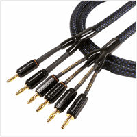 Tributaries Cables Model 4BW variant 3