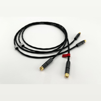 Ikigai Audio Tanoshimi variant 9