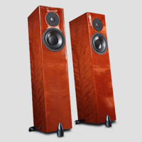 Totem Acoustic Forest Signature variant 3
