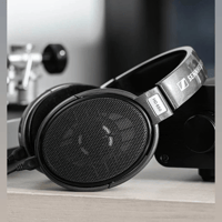 Sennheiser HD 650 variant 10
