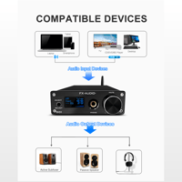 FX Audio D01 variant 10