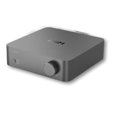 WiiM Vibelink Amp