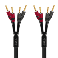 AudioQuest Rocket 22 Single BiAmp variant 3