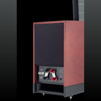 MartinLogan Classic ESL 9 variant 21