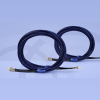 Connected Fidelity Unity Two variant 1