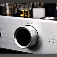 Cayin CS-845A variant 5