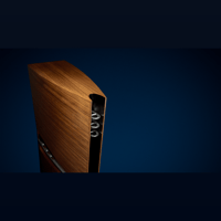 Borresen Acoustics Børresen 05 variant 5