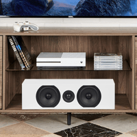 Totem Acoustic Bison Center variant 1