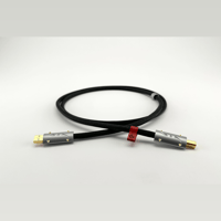 Ikigai Audio Tanoshimi variant 6