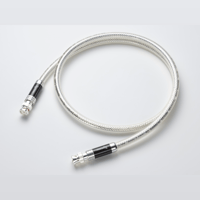 Esoteric 7N-DA3100ES MEXCEL variant 2